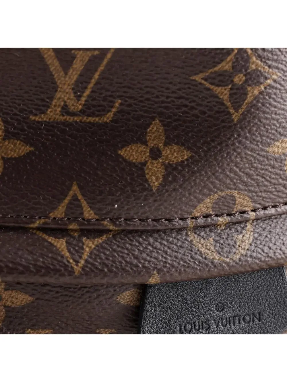 Louis Vuitton Palm Springs Backpack #294604L19B